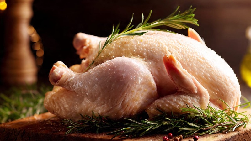 Pollo