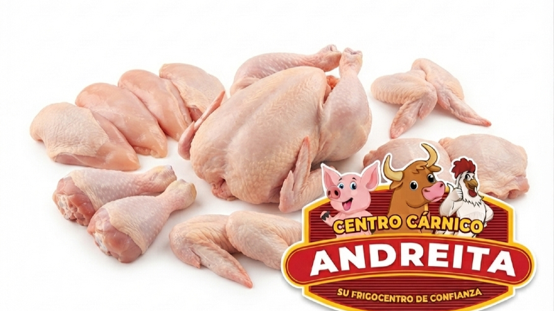 Pollo