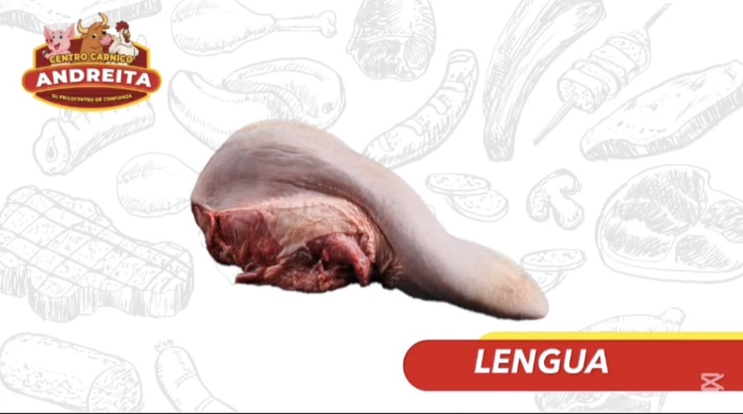 Lengua de Res