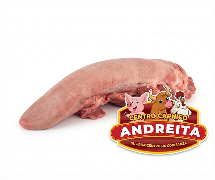 Lengua de Res